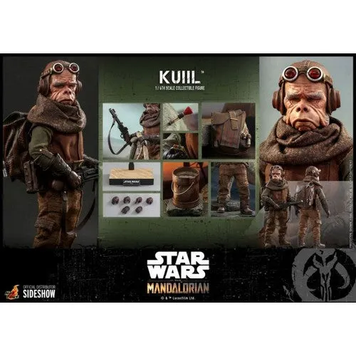 1:6 Star Wars : The Mandalorian - Kuiil Figure TMS048 Hot Toys